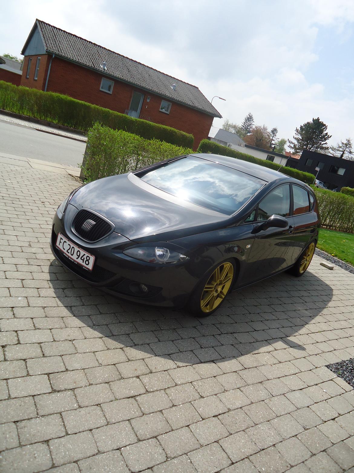 Seat Leon " MYGGEN" billede 2