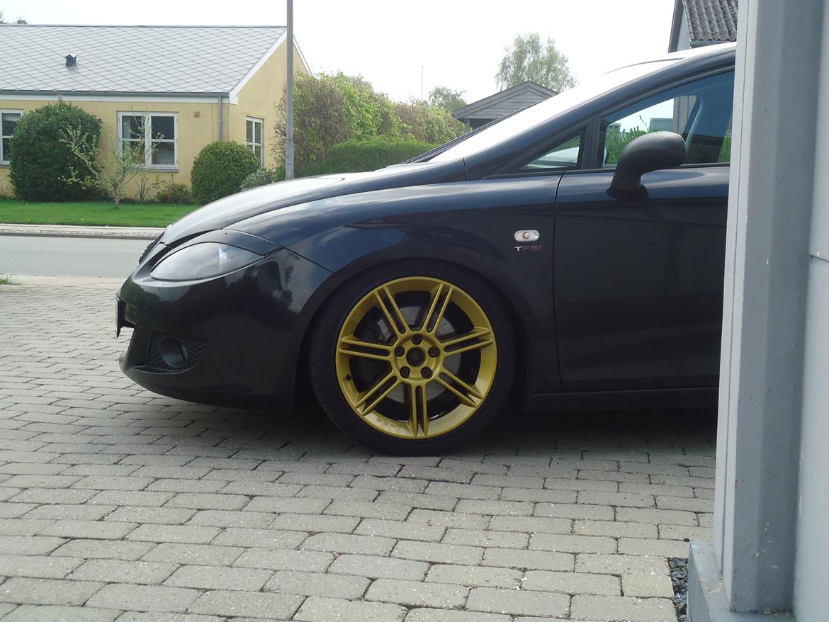 Seat Leon " MYGGEN" billede 4