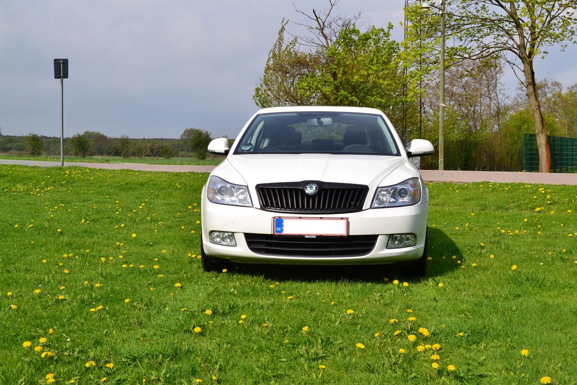 Skoda Octavia 2.0 TDI Ambiente  (SOLGT) billede 3
