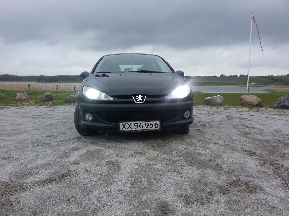 Peugeot 206 S16 billede 1