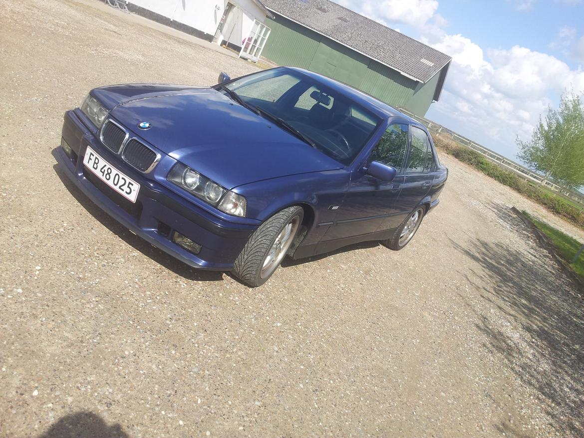 BMW E36 318i billede 2