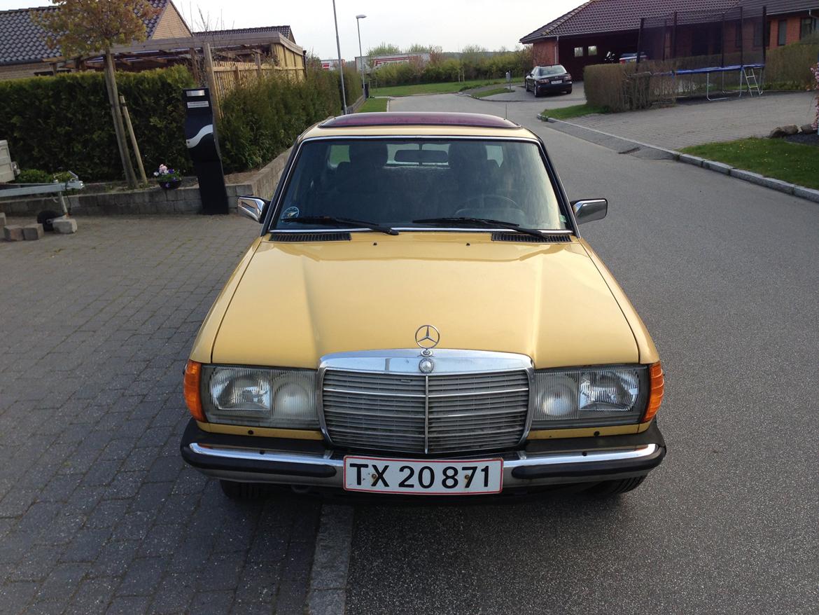 Mercedes Benz W123 250 aut. 6 cyl billede 1