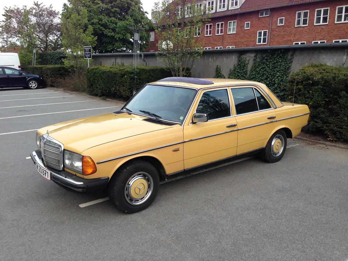 Mercedes Benz W123 250 aut. 6 cyl billede 2