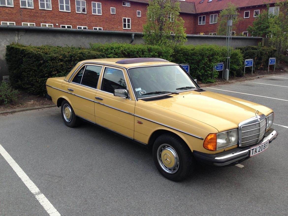 Mercedes Benz W123 250 aut. 6 cyl billede 3