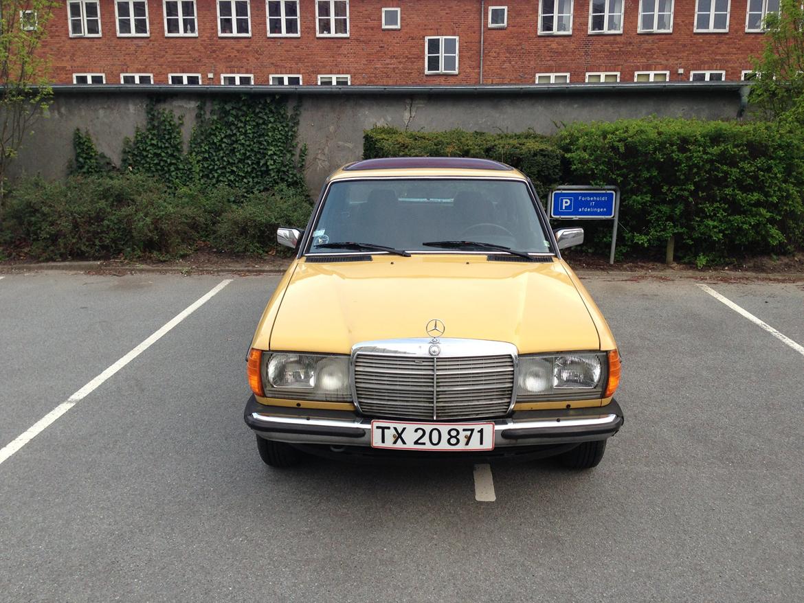 Mercedes Benz W123 250 aut. 6 cyl billede 4