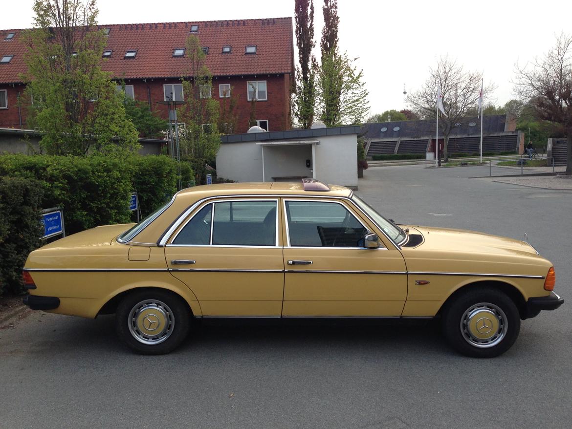 Mercedes Benz W123 250 aut. 6 cyl billede 6