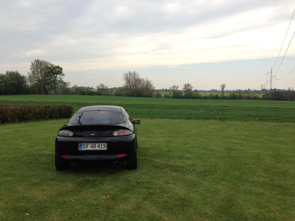 Ford Puma VCT billede 9