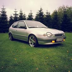 Toyota Corolla E11 HB Terra