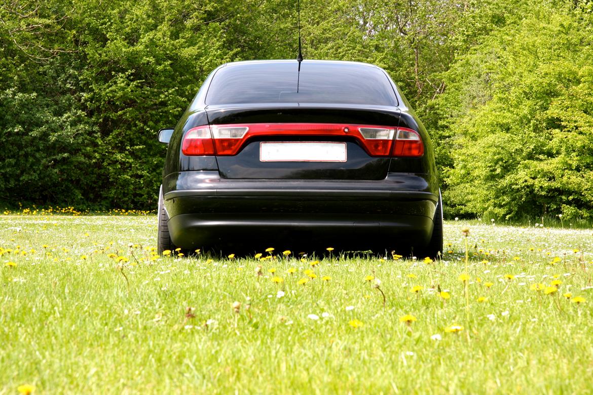 Seat toledo billede 3