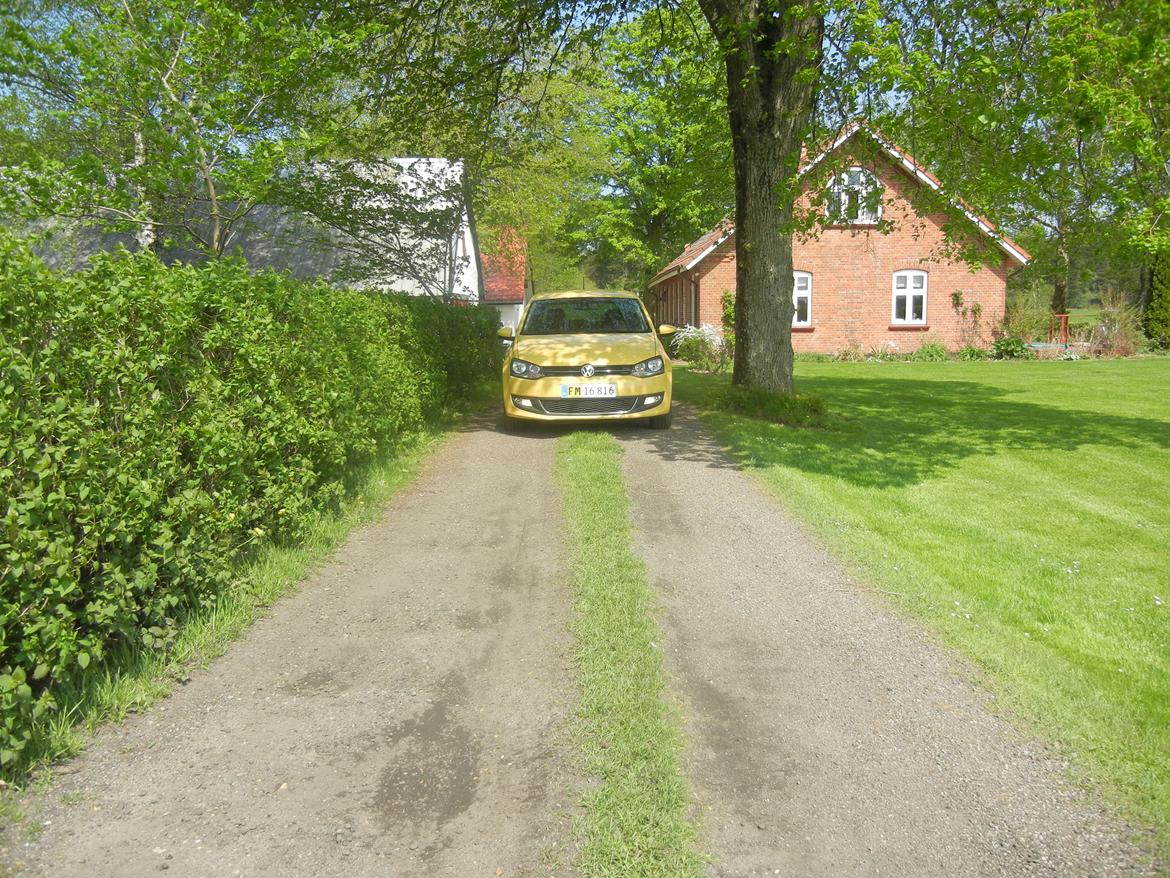 VW Polo 6r 1.6 TDI Highline billede 1