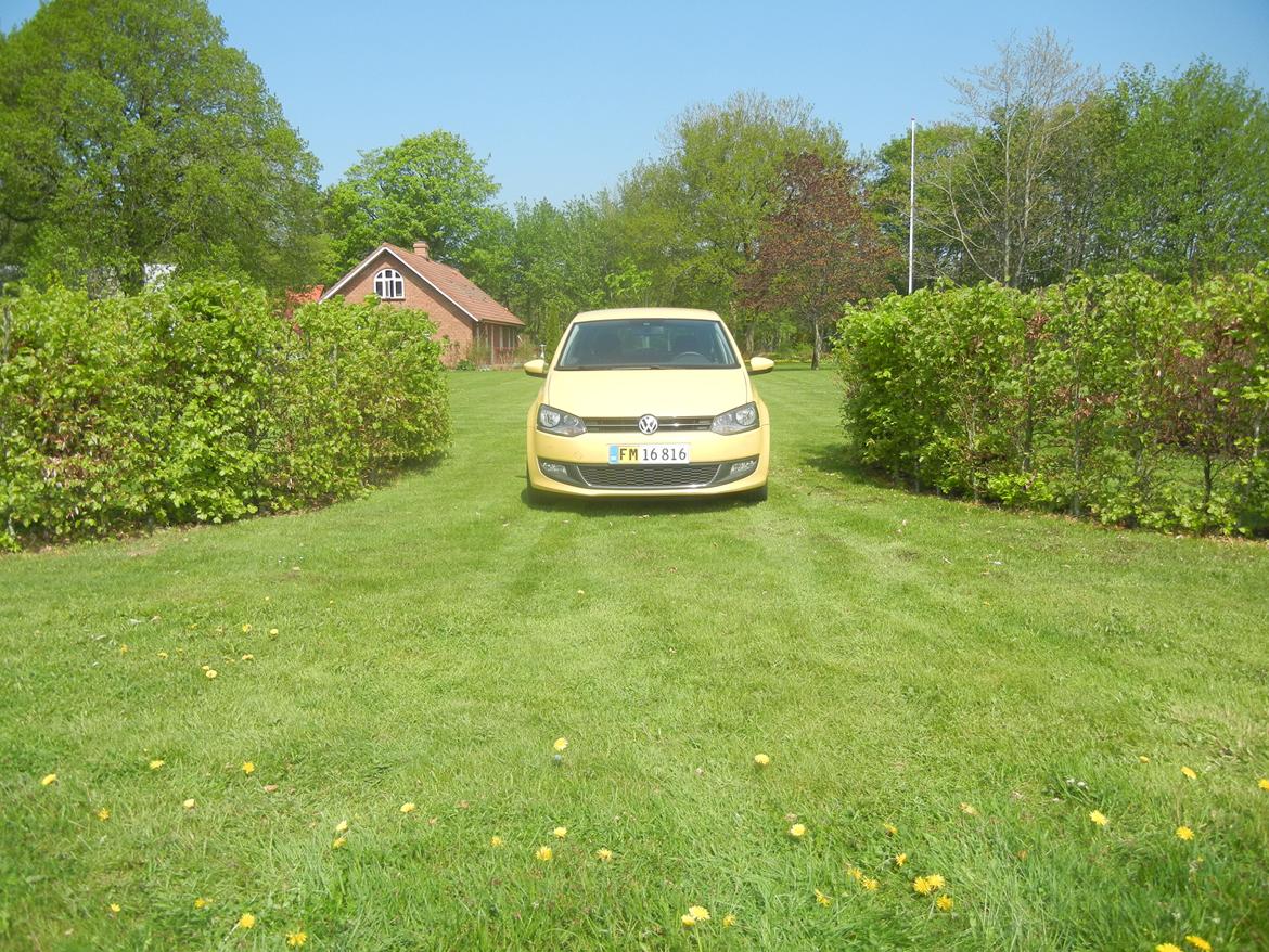 VW Polo 6r 1.6 TDI Highline billede 2