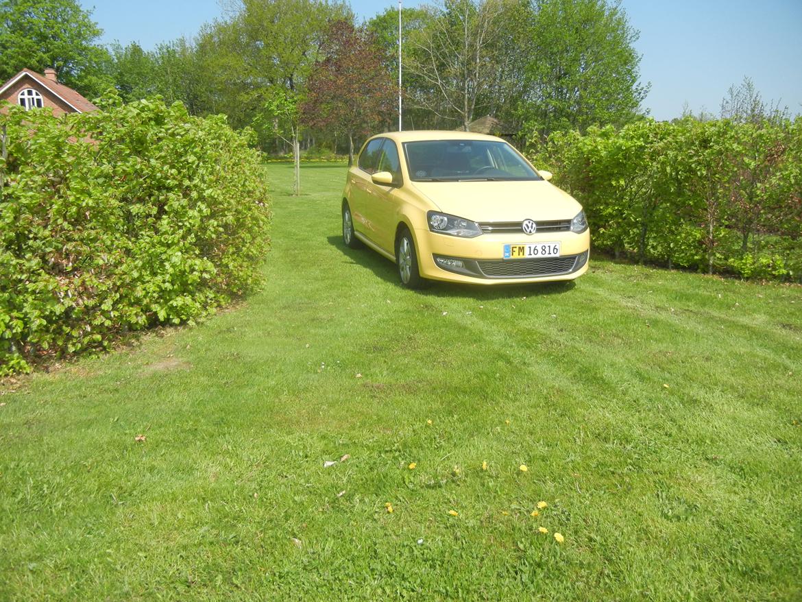 VW Polo 6r 1.6 TDI Highline billede 3