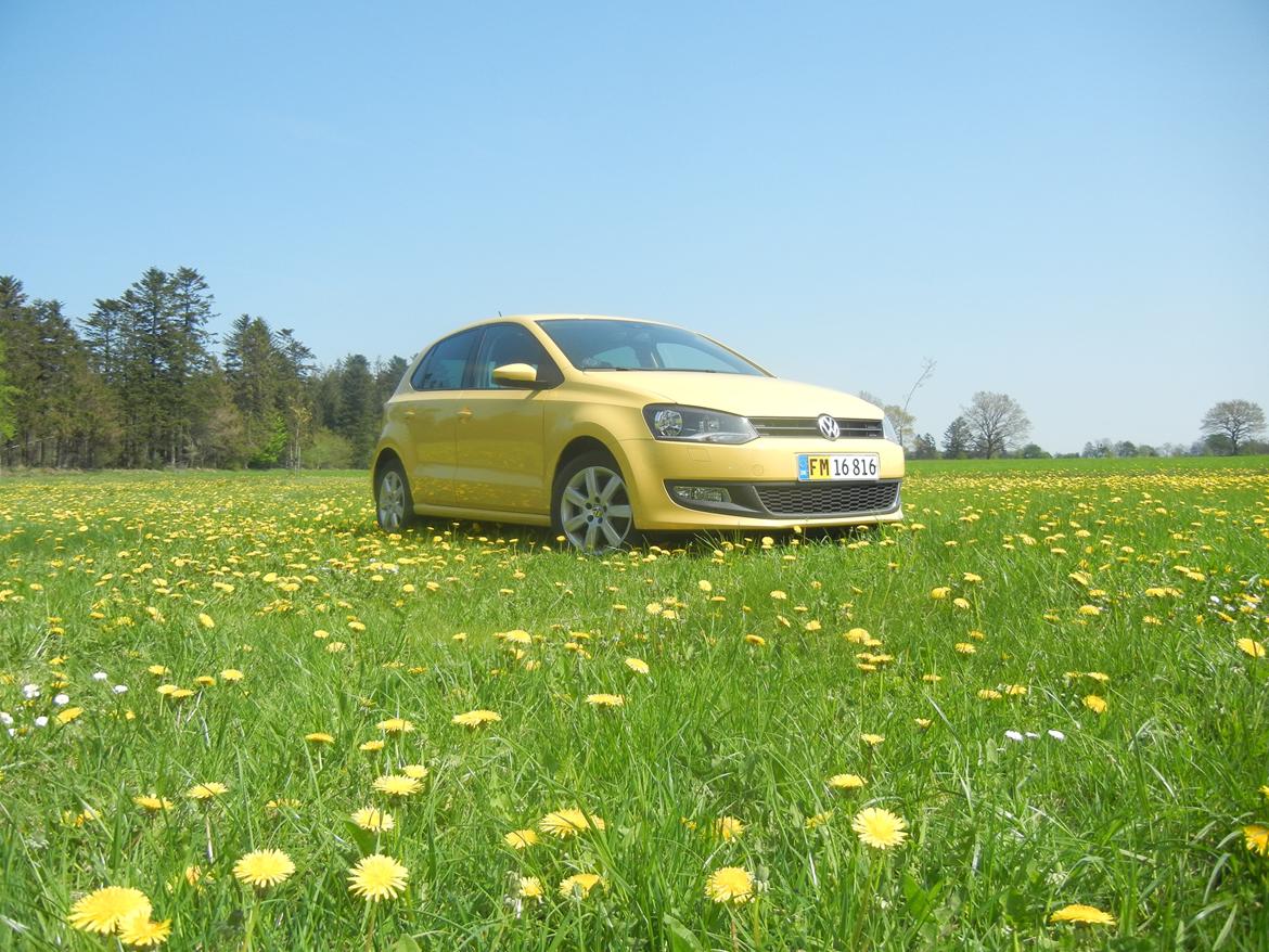 VW Polo 6r 1.6 TDI Highline billede 4