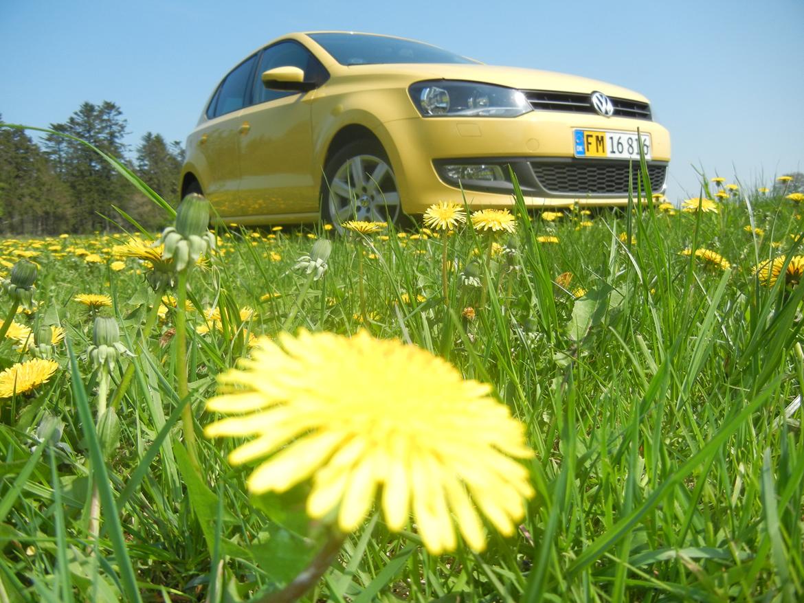 VW Polo 6r 1.6 TDI Highline billede 5