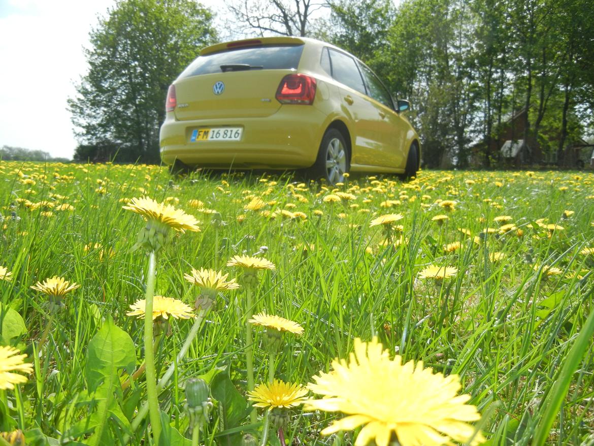 VW Polo 6r 1.6 TDI Highline billede 6