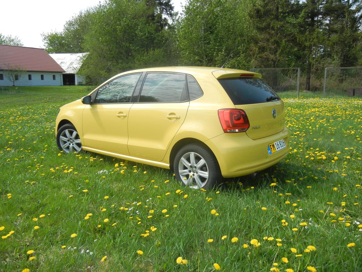 VW Polo 6r 1.6 TDI Highline billede 8