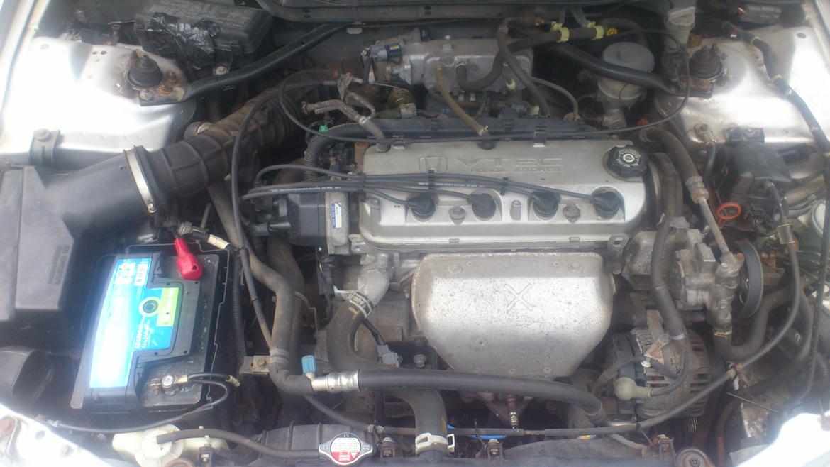 Honda Accord billede 12