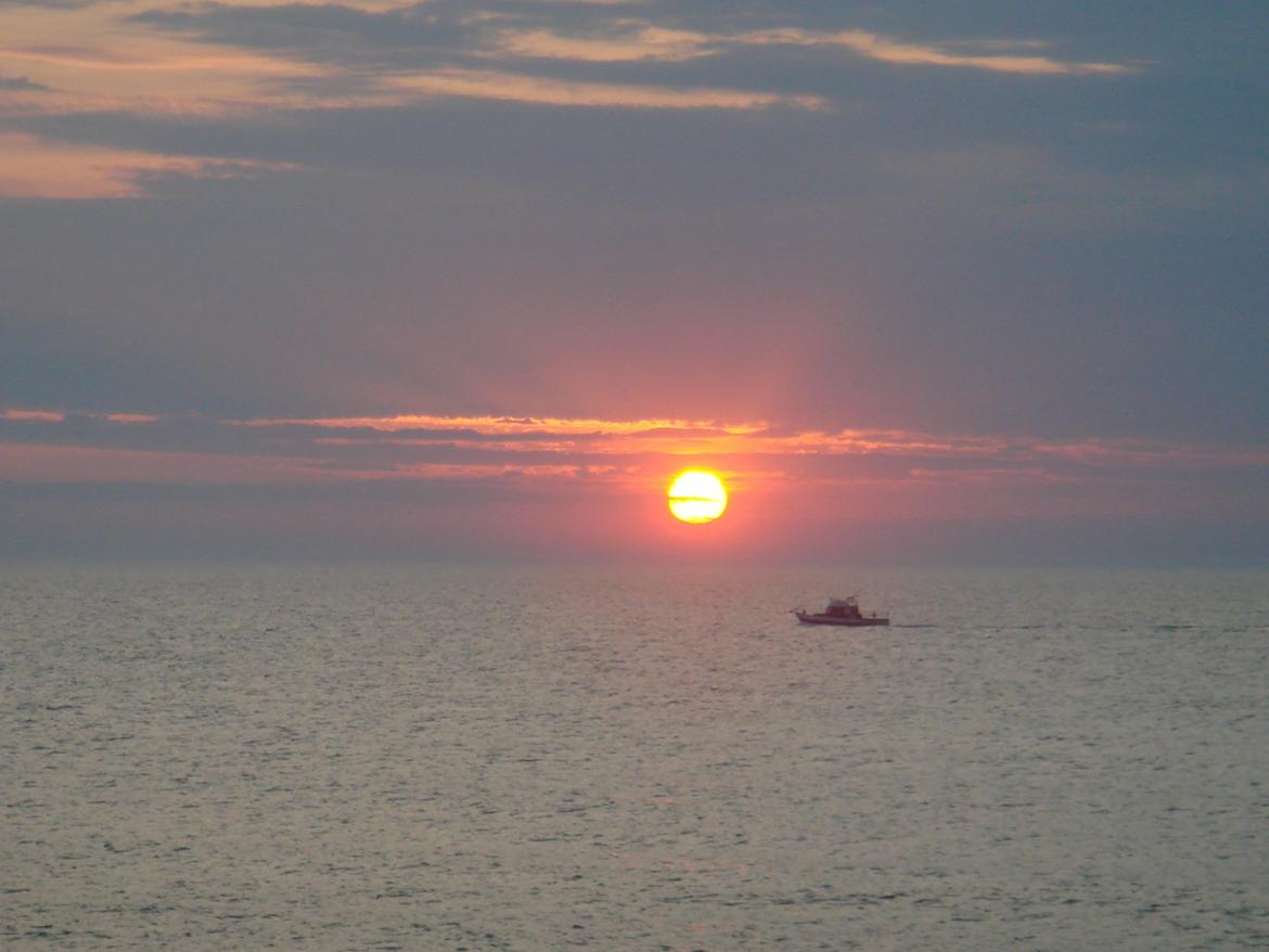 Skoda CiTiGo billede 4