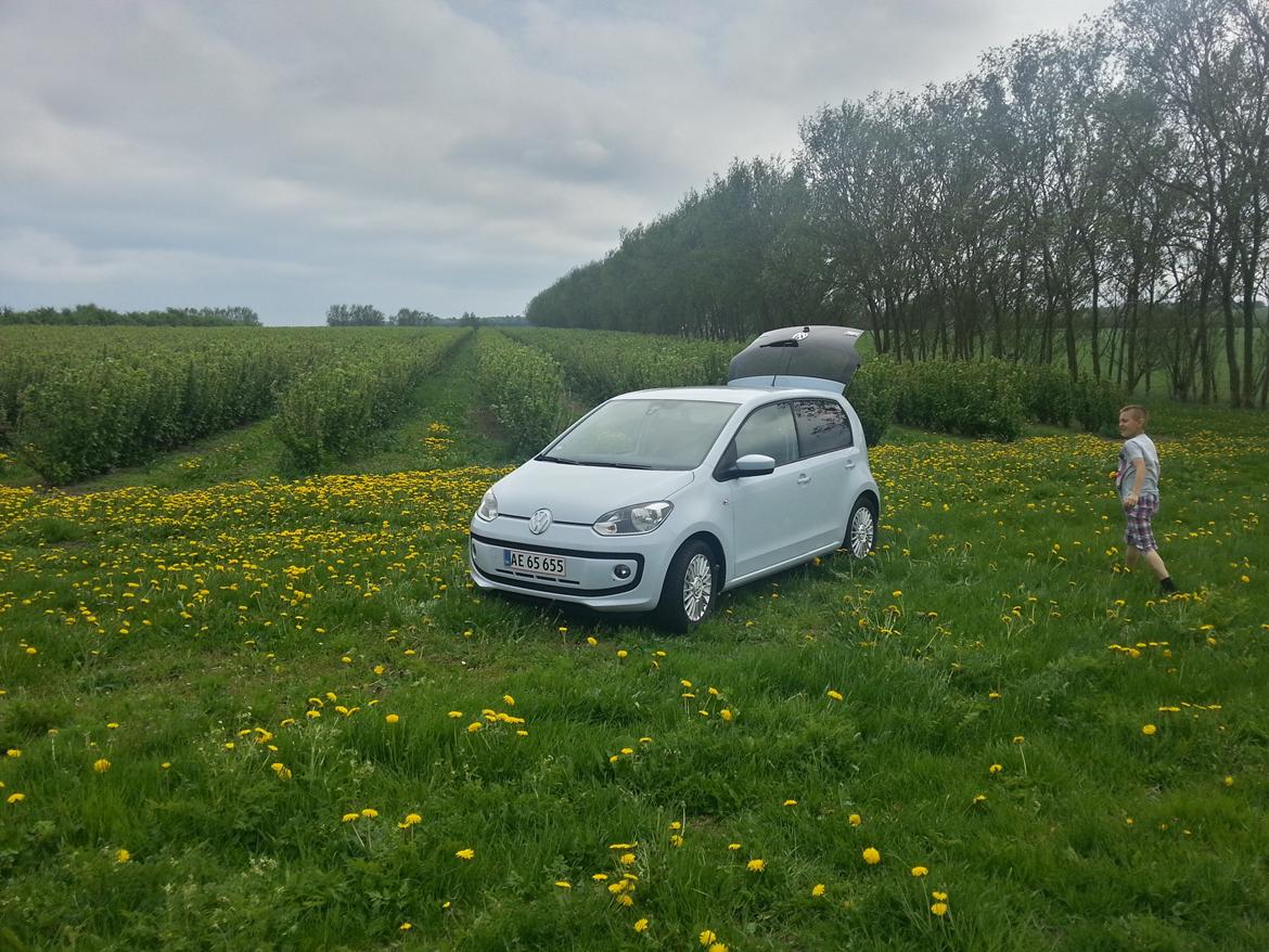 VW High up! billede 13