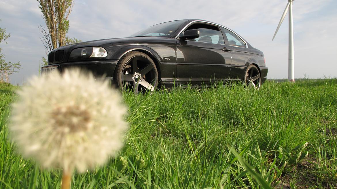 BMW 320 Ci 2.2 E46 "Black Edition" billede 17