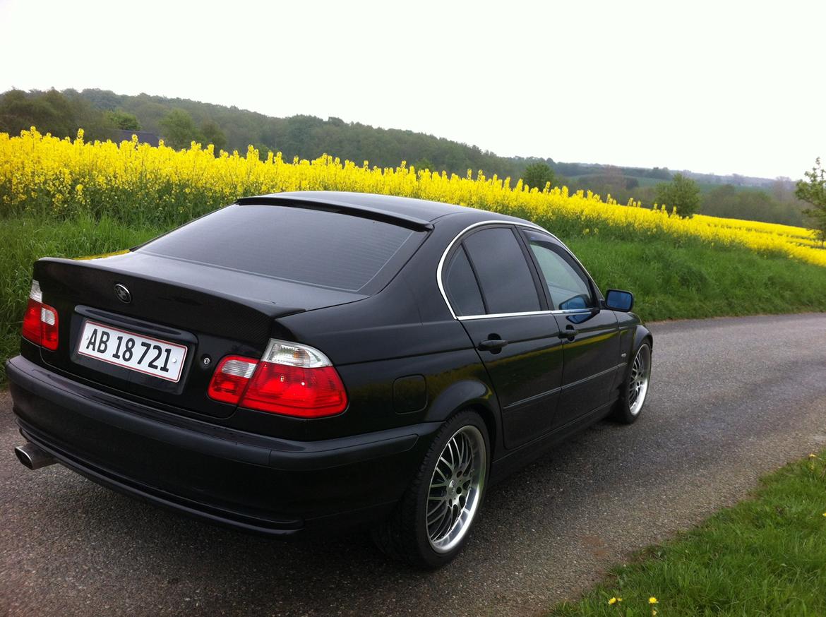 BMW E46 320i Carbon Edit. billede 3