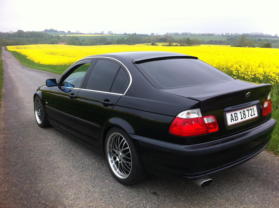 BMW E46 320i Carbon Edit. billede 5