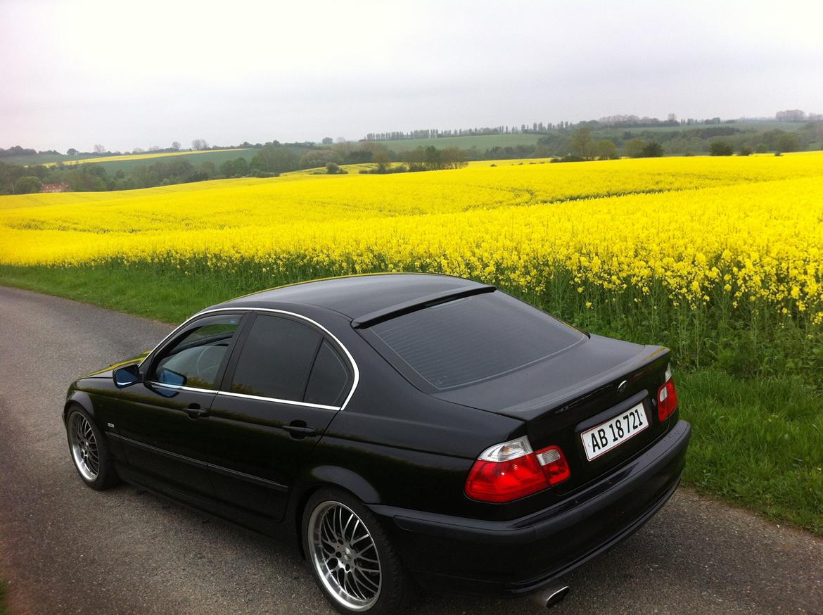 BMW E46 320i Carbon Edit. billede 2