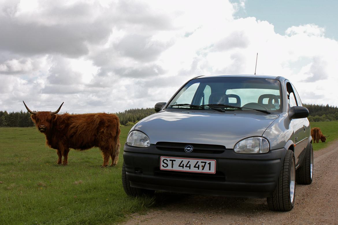Opel Corsa 1,4 Swing billede 4