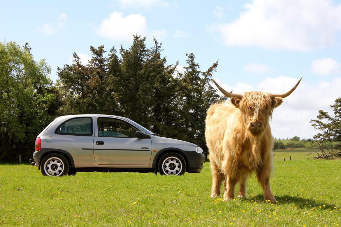 Opel Corsa 1,4 Swing billede 2