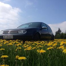 VW Golf IV