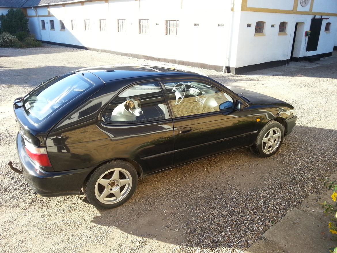 Toyota Corolla e10 - før billede 3