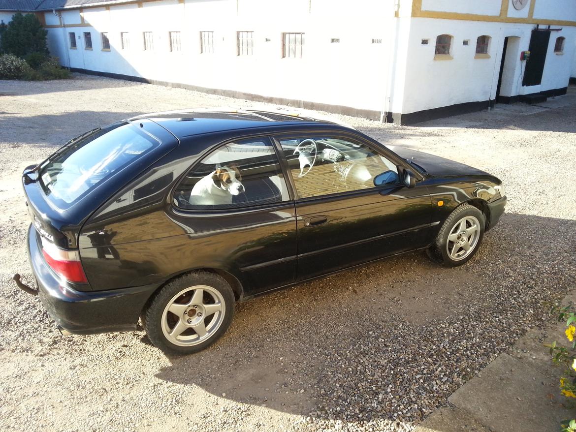 Toyota Corolla e10 - før billede 4