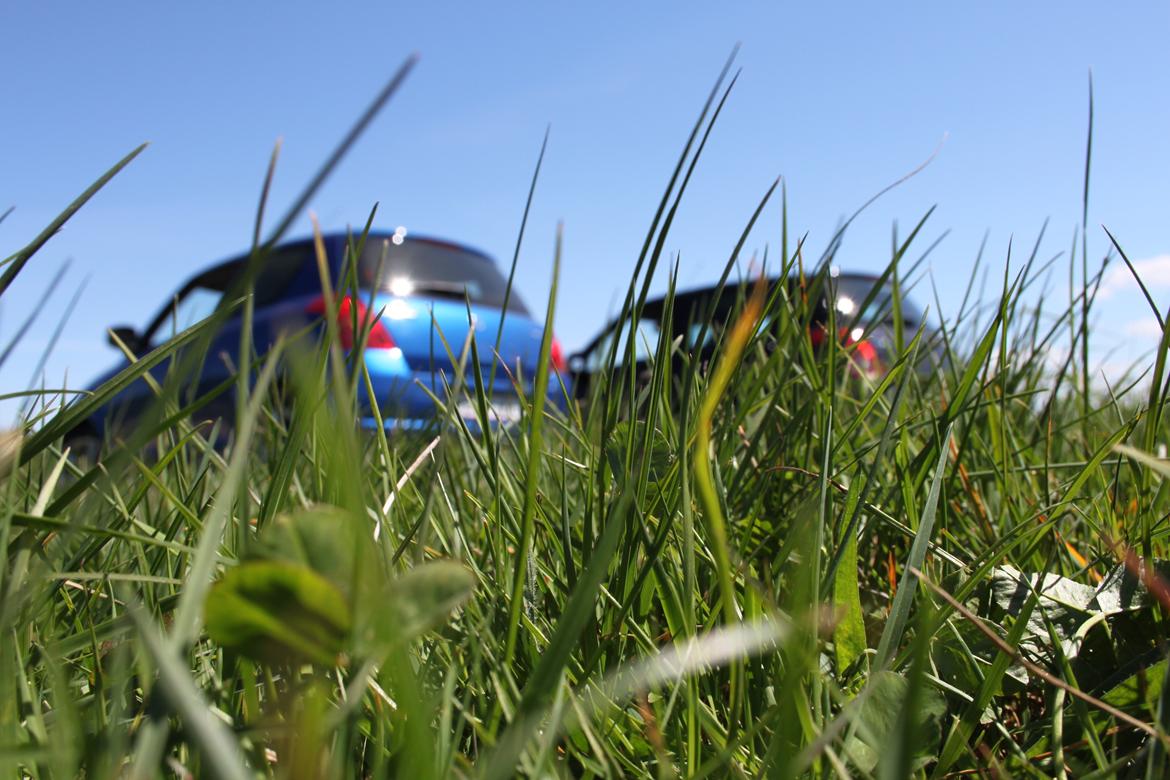 Suzuki Swift  Det Blå Lyn! billede 6