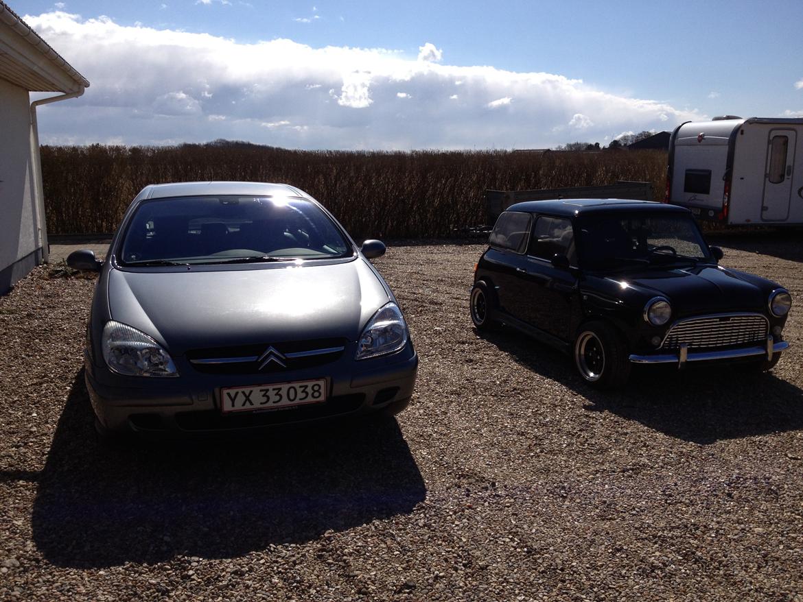 Austin-Morris mascot mini billede 1