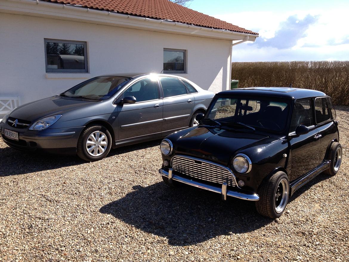 Austin-Morris mascot mini billede 2