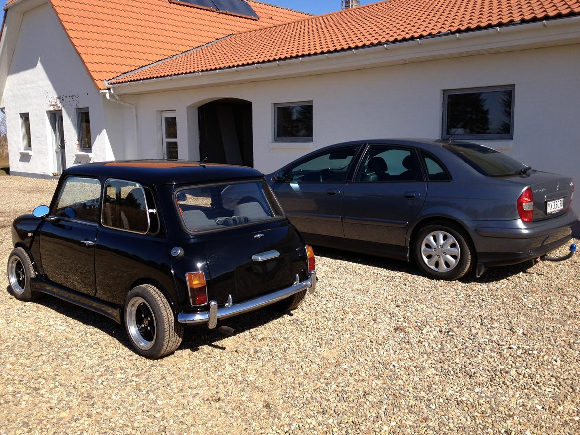 Austin-Morris mascot mini billede 5