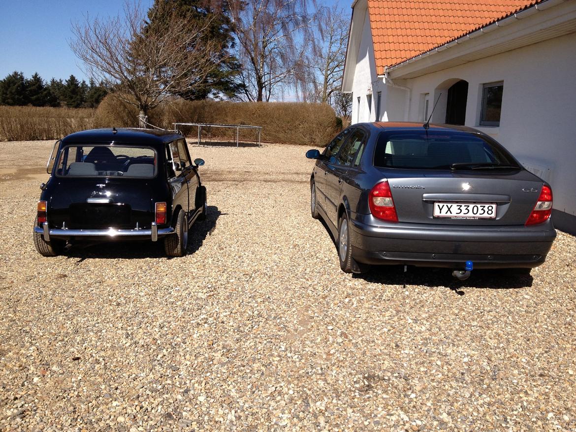 Austin-Morris mascot mini billede 6