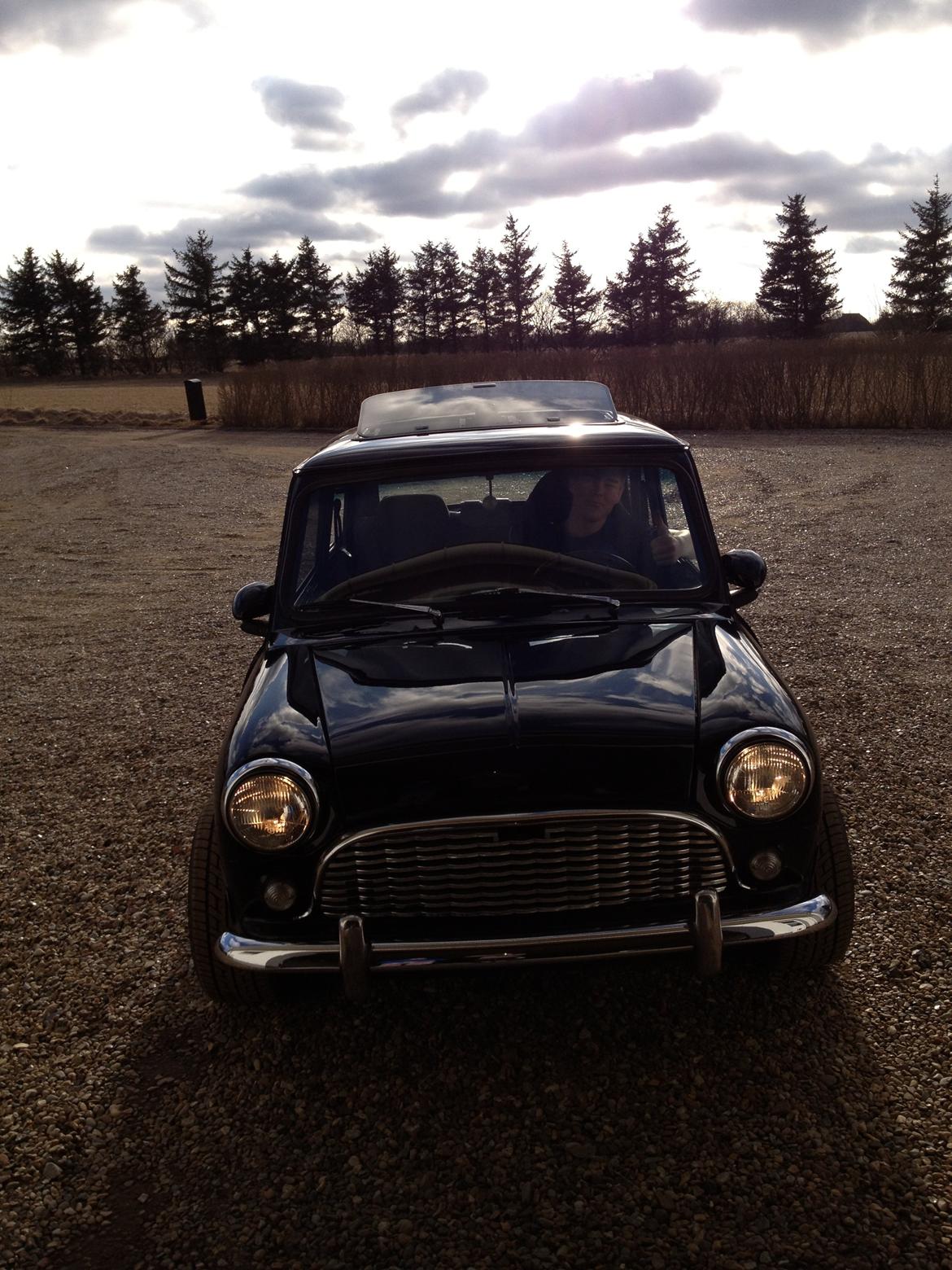 Austin-Morris mascot mini billede 7