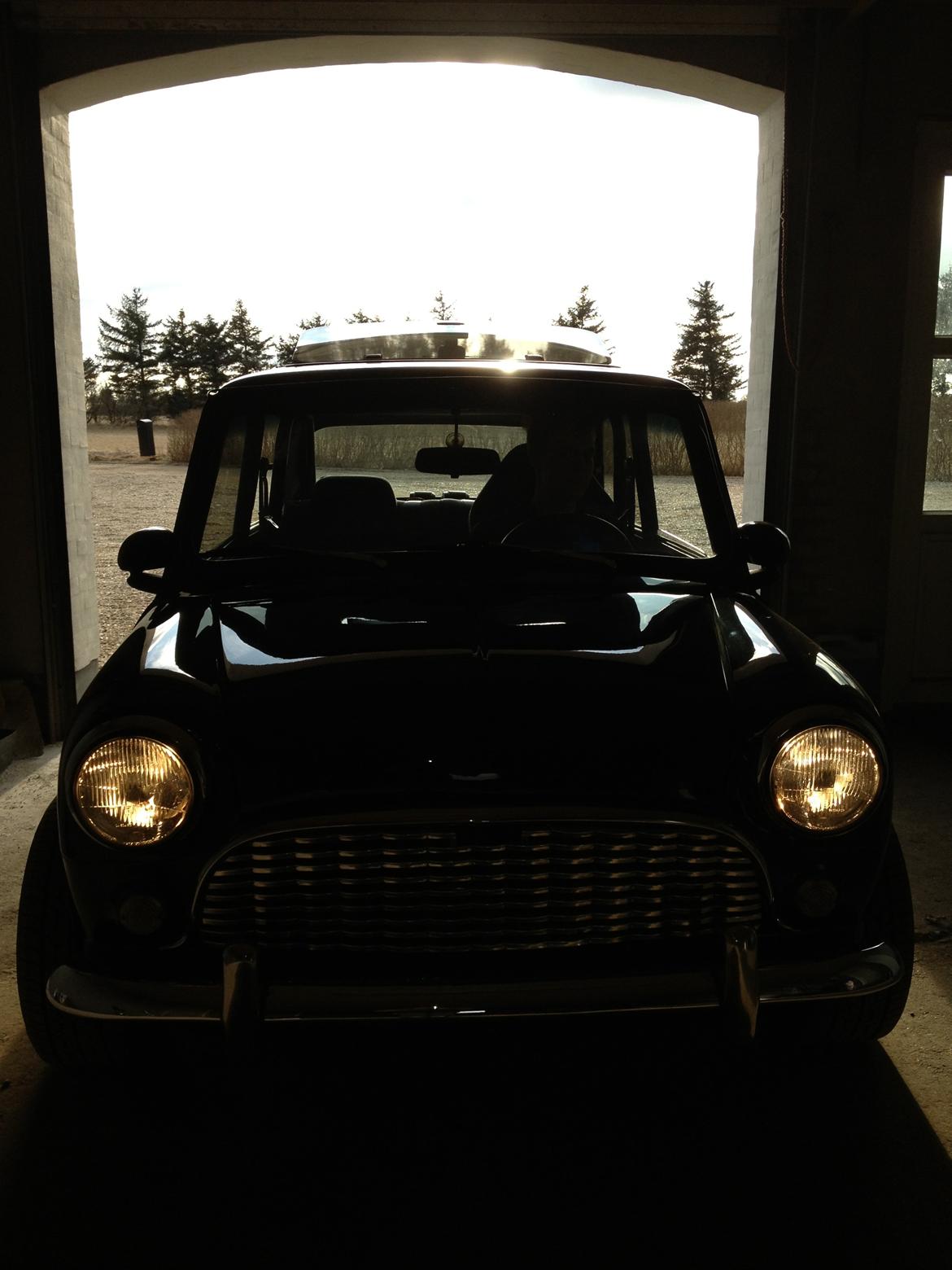 Austin-Morris mascot mini billede 9