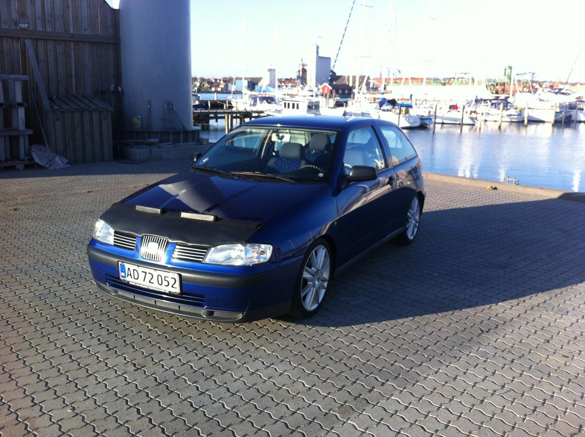 Seat Ibiza billede 12
