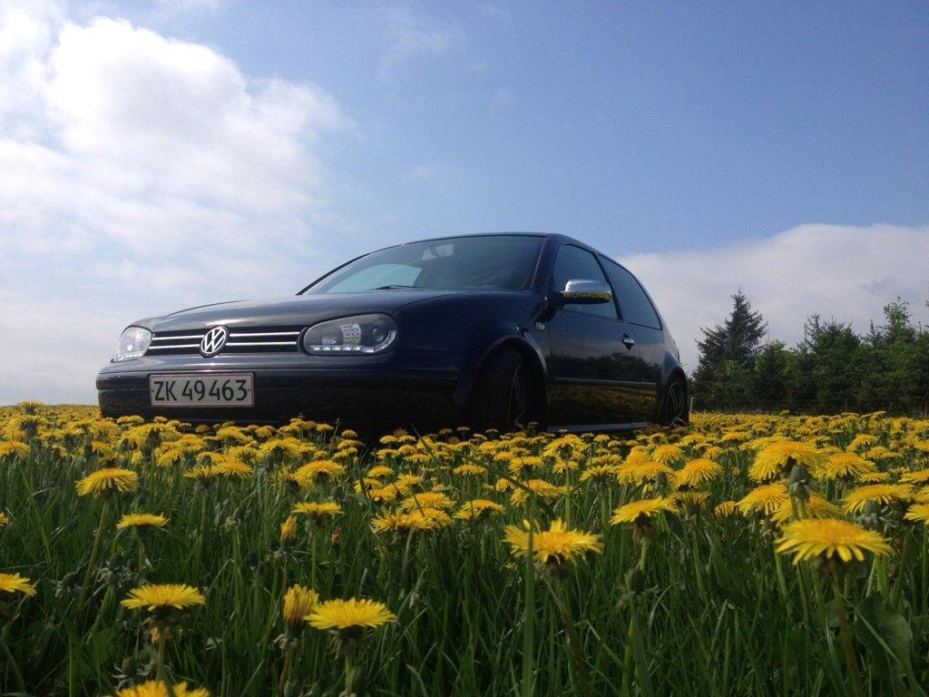 VW Golf IV billede 2