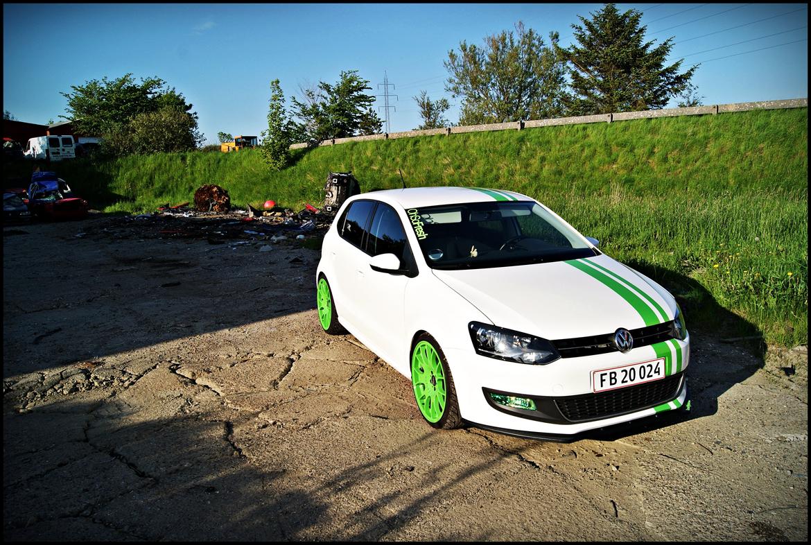 VW Polo 6R Highline "Green Edition" billede 2