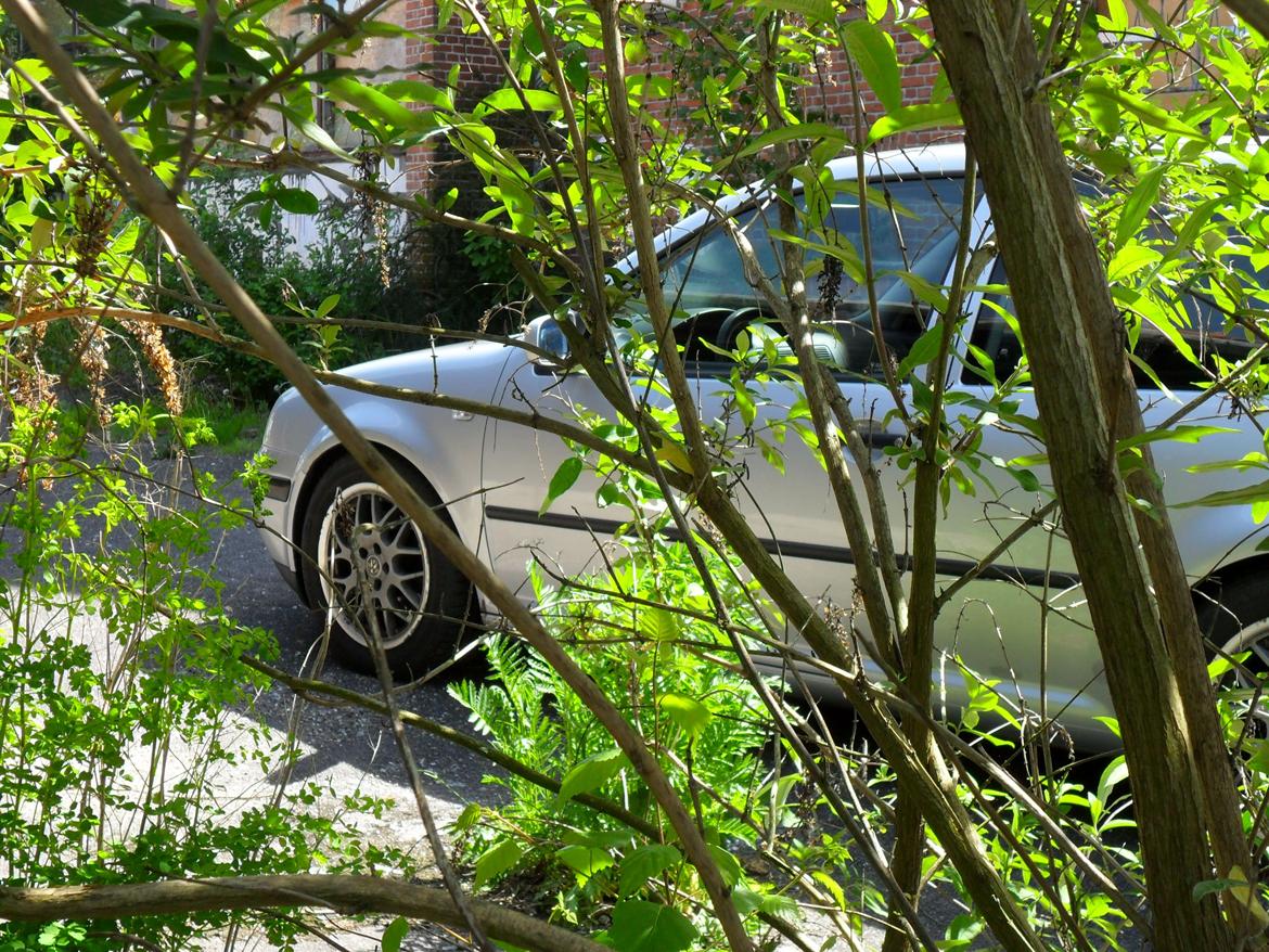 VW Golf 4 TDI billede 11