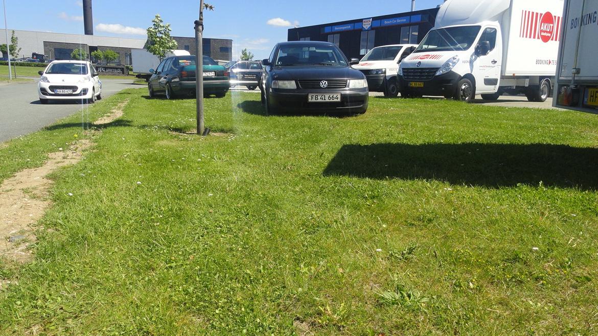 VW passat billede 12