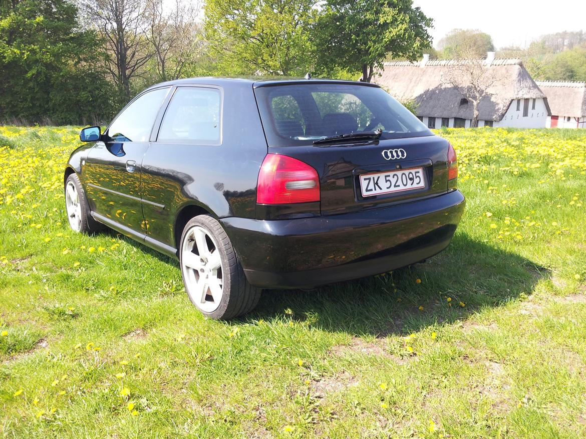 Audi A3 1,6 billede 4