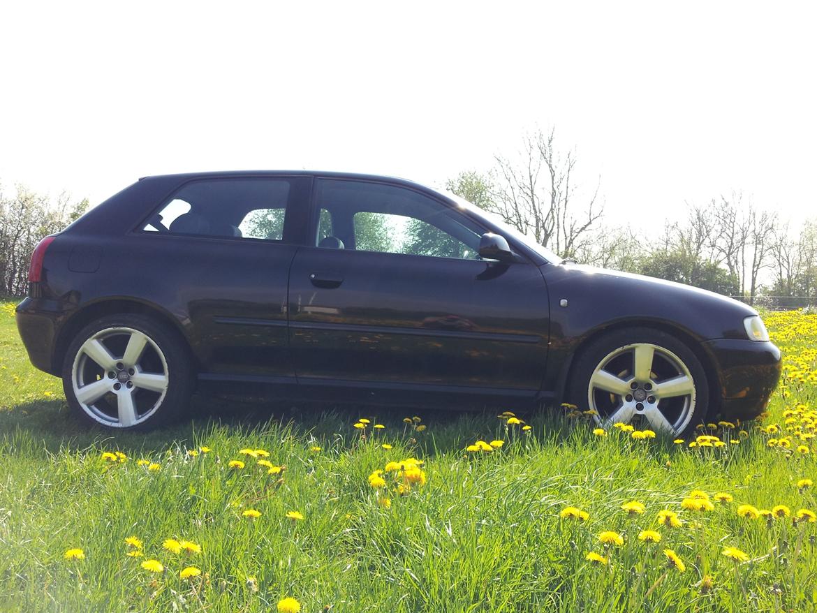Audi A3 1,6 billede 5