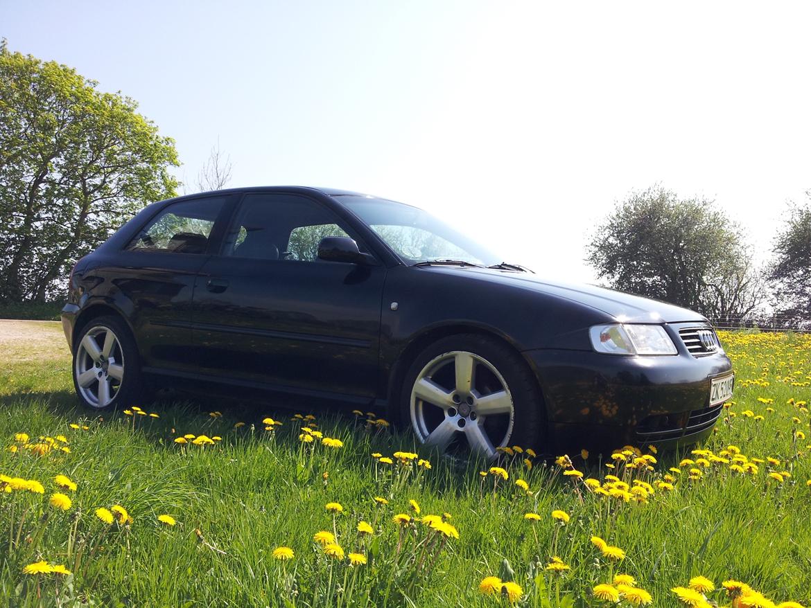 Audi A3 1,6 billede 6