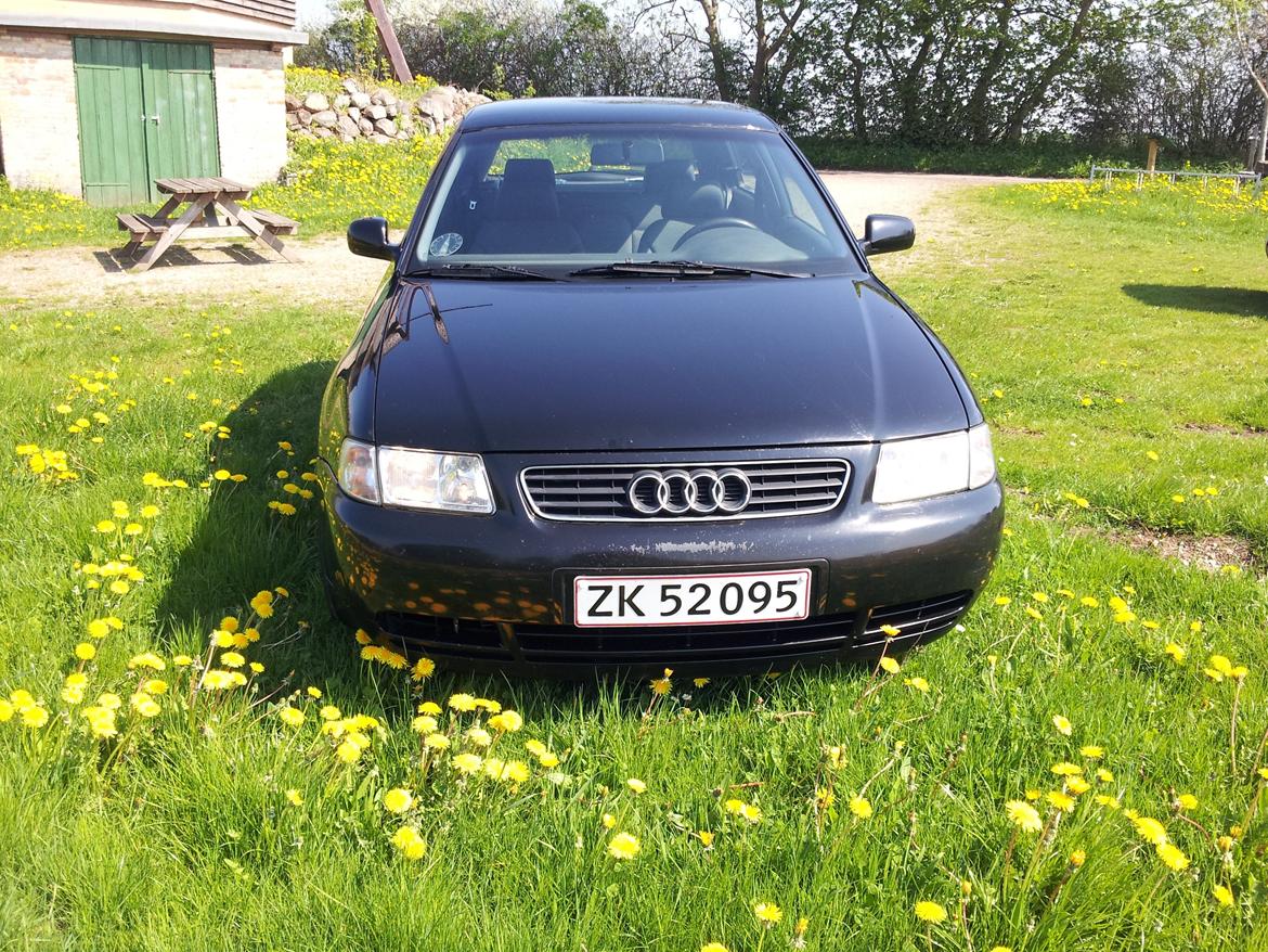 Audi A3 1,6 billede 7