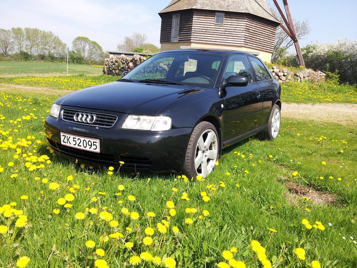 Audi A3 1,6 billede 8