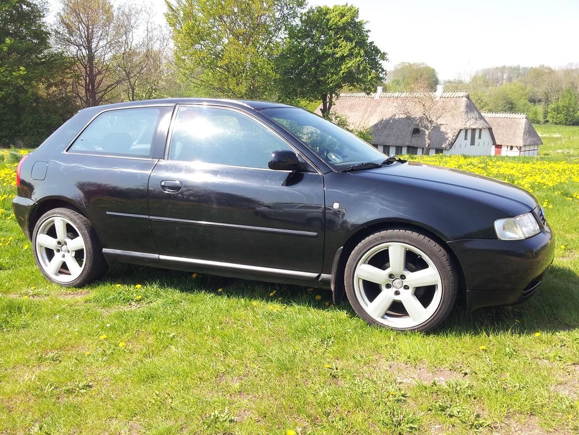 Audi A3 1,6 billede 10